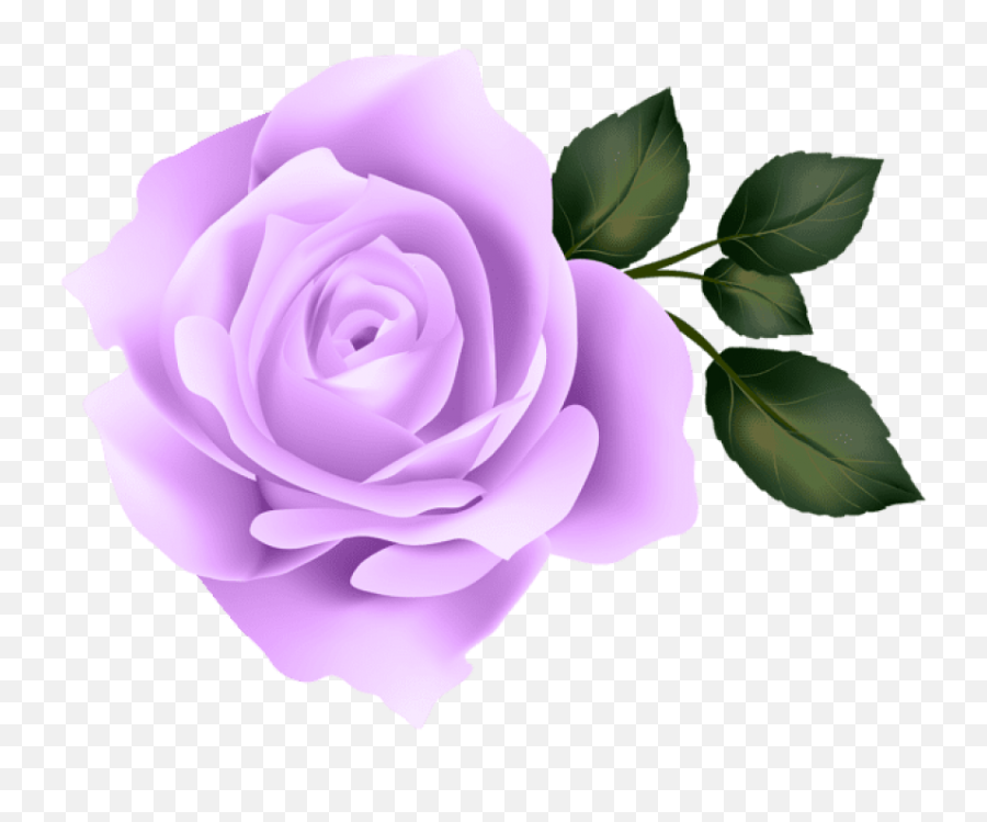Purple Flowers Transparent Background - Yellow Rose Transparent Background Png,Lilac Png