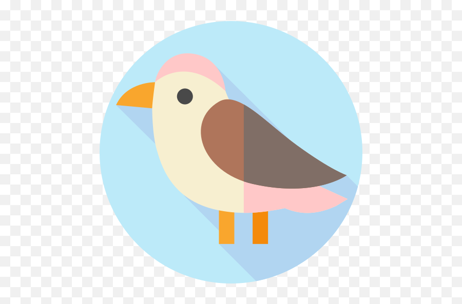 Humming Bird - Free Animals Icons Old World Flycatchers Png,Flying Bird Icon