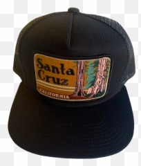 Santa Cruz Trucker - For Baseball png