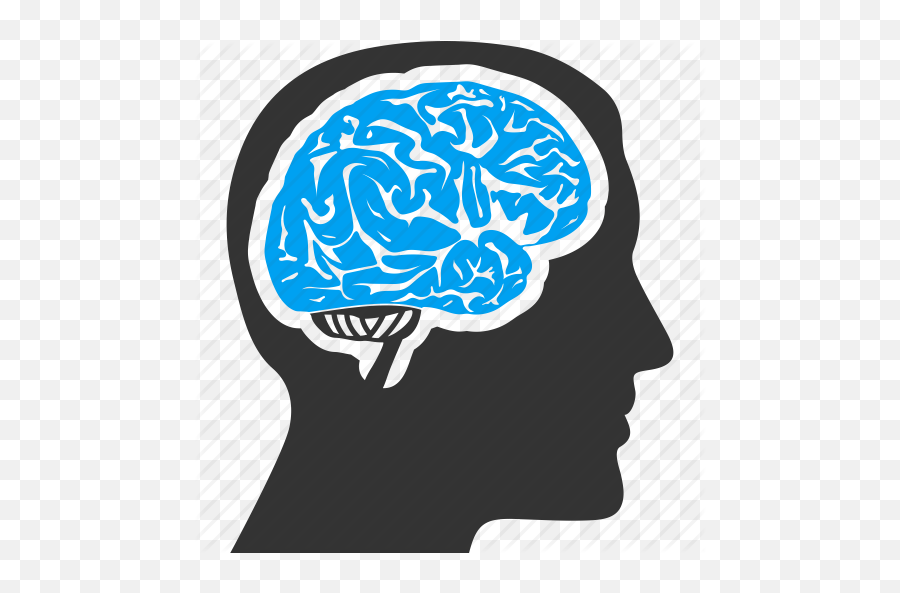 Human Organ Idea Memory Mind Think Icon - Head Human Brain Png,Human Brain Png