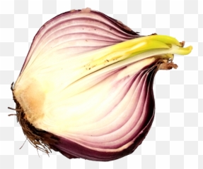 Sliced Onion Png Transparent Onlygfxcom - Red