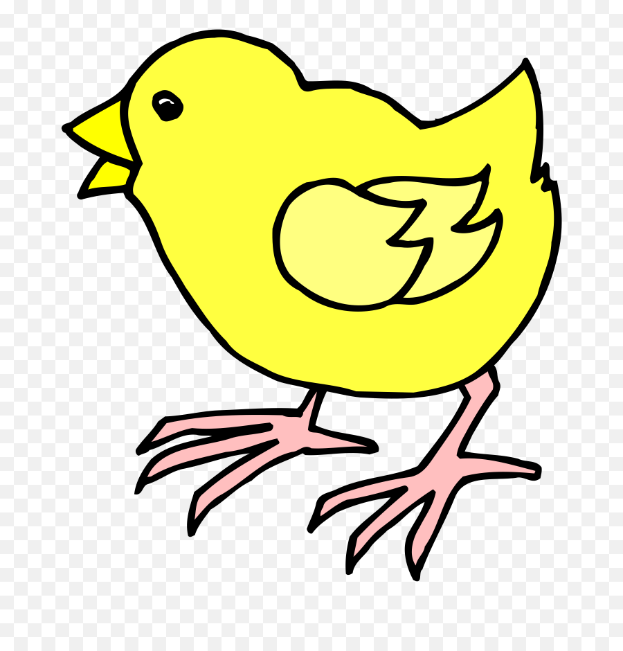 Download Chick Clipart Baby - Cartoon Image Of Chick Cartoon Image Of A Chick Png,Baby Chicks Png