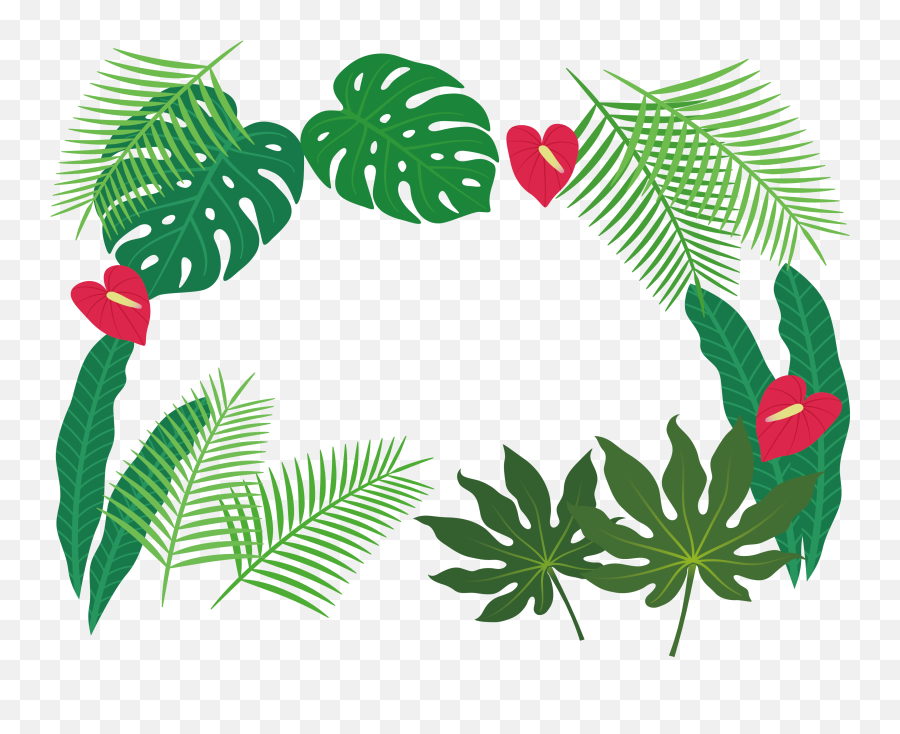 Leaf Clip Art - Tropical Plants Cartoon Png,Leaf Border Png