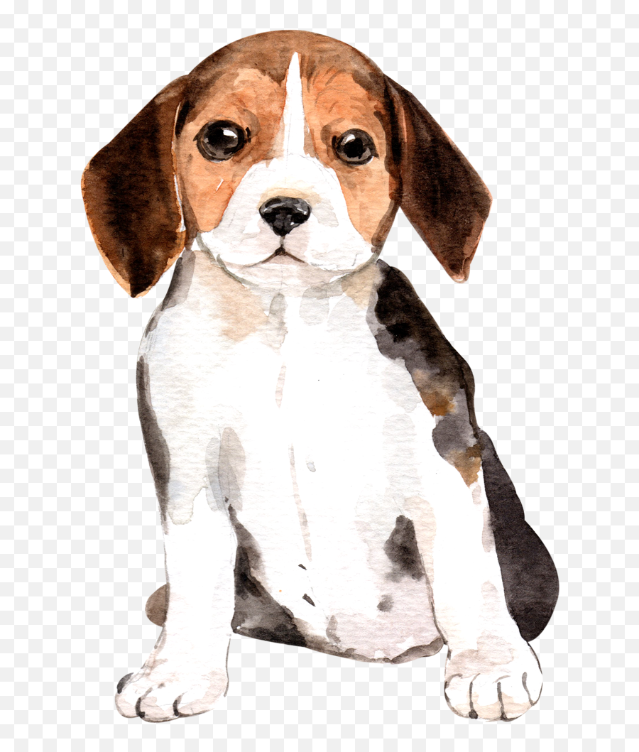 Cute Beagle Watercolor Png