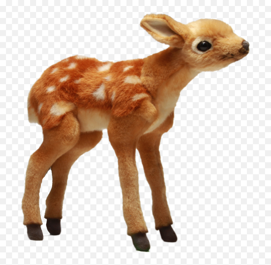 Bambi Png - Bambi Whitetailed Deer 2042731 Vippng Deer,Deer Png