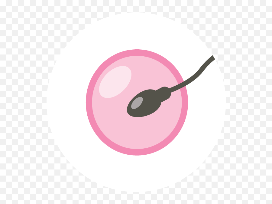 Twitter Icon Pink Png Transparent Cartoon - Jingfm Circle,Uterus Png
