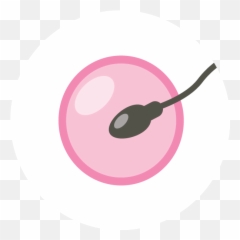 Twitter Icon Pink Png Transparent Cartoon - Jingfm Circle