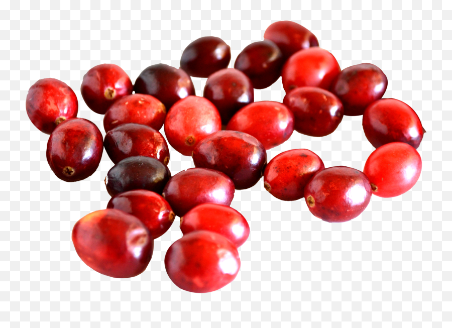 Cranberry Png Image For Free Download - Difference Between Cherry And Cranberry,Cranberry Png