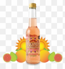 Download Hd Pink Grapefruit U0026 Guava - Equinox Kombucha Glass Bottle Png,Grapefruit Png