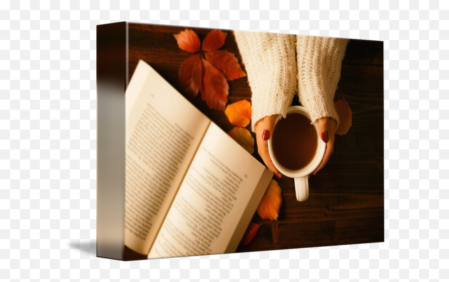 Woman Hands Holding Teacup And Opened Book By Luigi Morbidelli - Book Cover Png,Opened Book Png