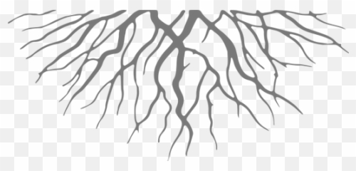 Roots Cartoon Png Image With No - Transparent Background