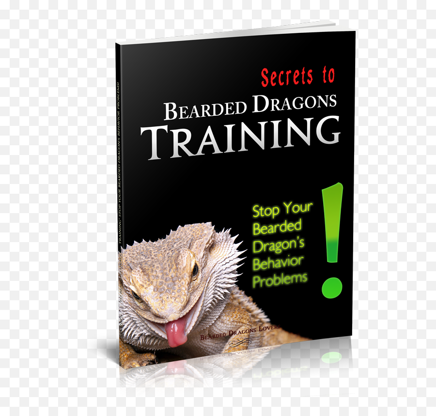 Secrets To Bearded Dragons Training - Dragonology Bringing Up Baby Dragons Png,Bearded Dragon Png