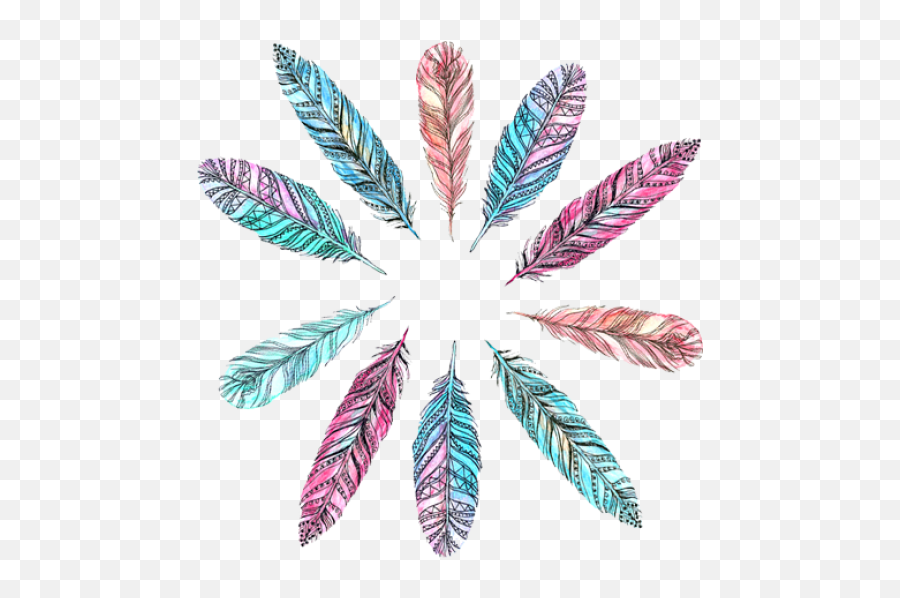 Transparent Bohemian Feather Png - Plumas De Colores,Feathers Transparent