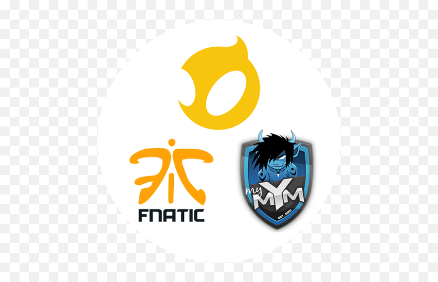 Razer And Esports - Fnatic Cs Go Logo Png,Gold Gym Logos