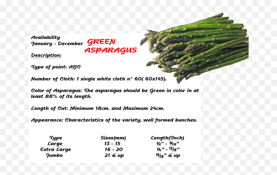 Wstgme World Star Traders Group - Asparagus Png,Asparagus Png