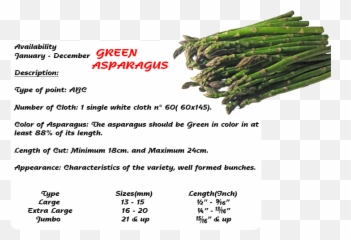 Wstgme World Star Traders Group - Asparagus Png,Asparagus Png
