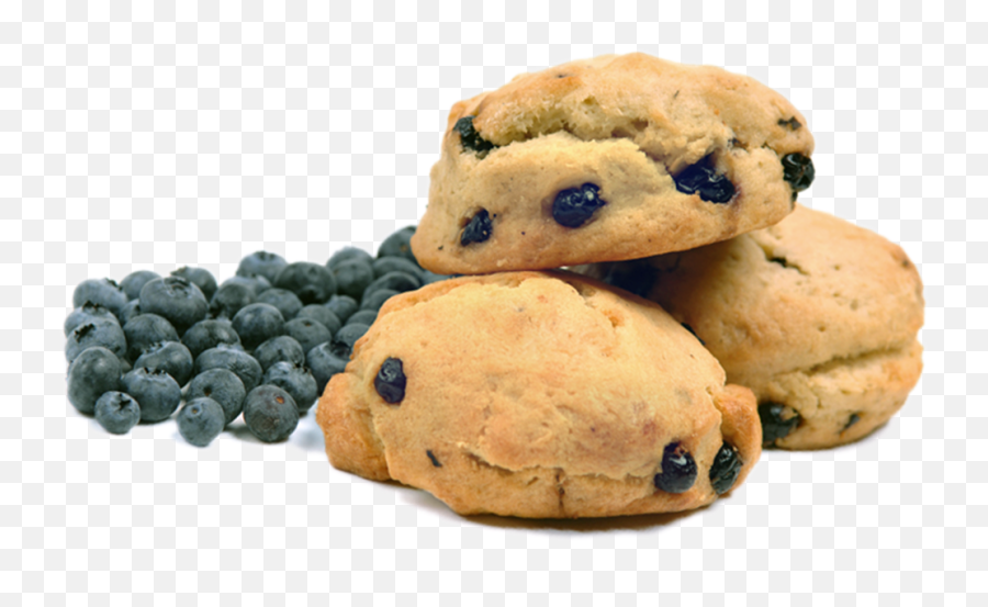 Sconewild The Way Scones Should Be - Chocolate Chip Cookie Png,Blueberry Png