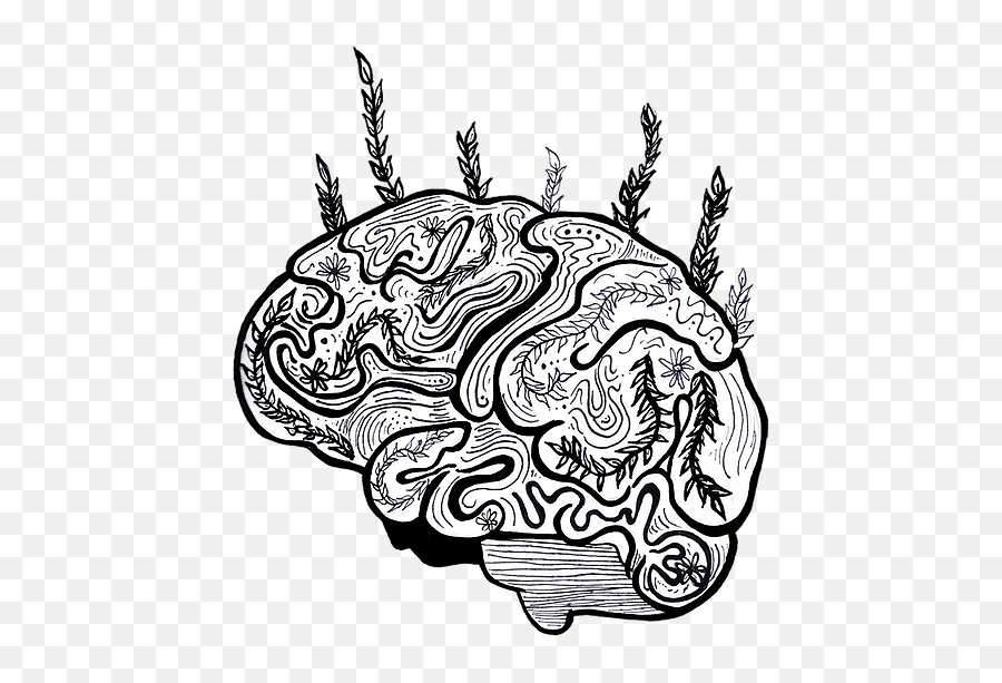 Visual Art - Illustration Png,Cartoon Brain Png