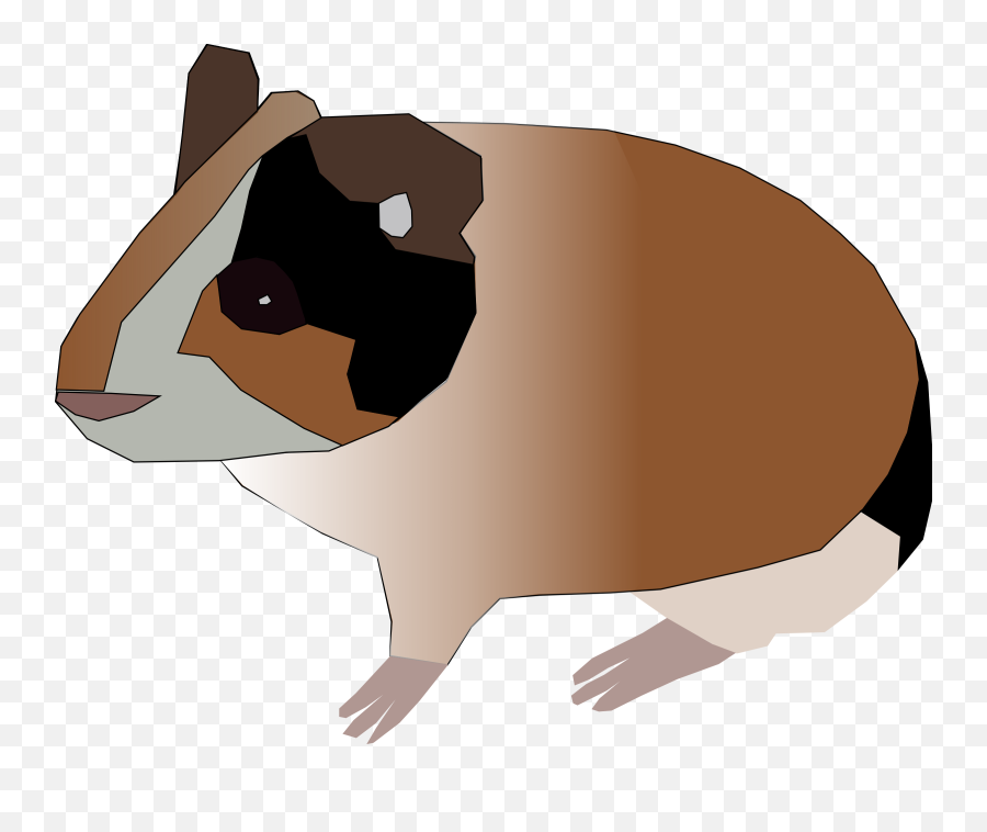Hamster Png Svg Clip Art For Web - Download Clip Art Png Tiny Guinea Pig Clip Art Png,Hamster Png
