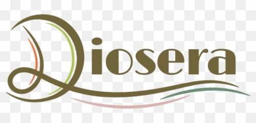 Construction Logo Design For Diosera By Vgb 4457332 - Horizontal Png,Construction Logo