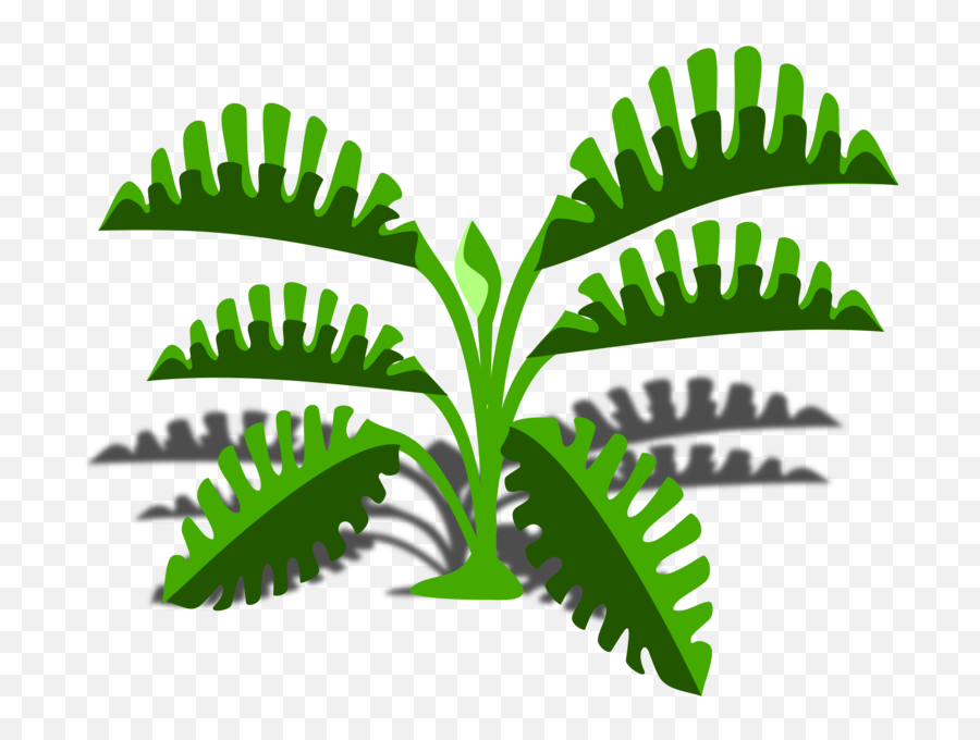 Plant Grass Leaf Png Clipart - Cartoon Fern Drawn Png,Fern Leaf Png
