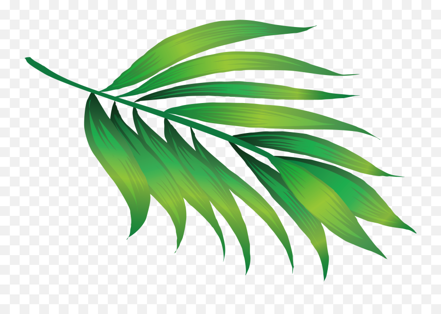 Green Leaf Icon Png - Leaf Plant Stem Plant Png Image With Hawaii Green Plants Png,Leaf Icon Png