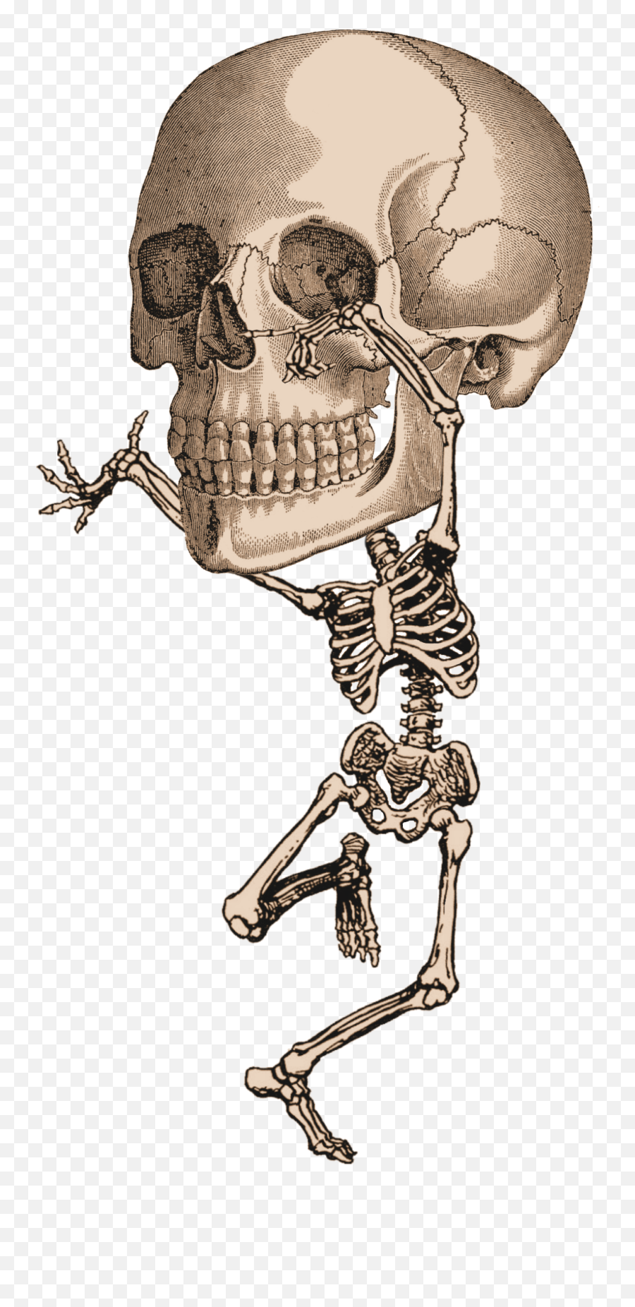 Download File - Simple Dancing Skeleton Drawing Png,Dancing Skeleton Png