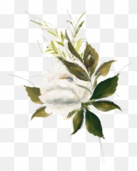 Allison Corrin Photography - Overlijden Bedankt Voor Jullie Medeleven Png,Corrin Png