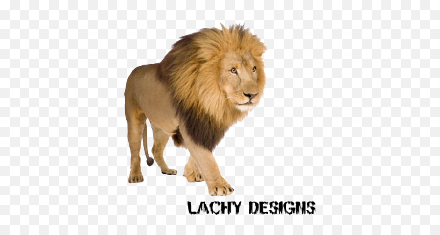 13 Lion Face Psd Images - Free Lion Head Lion Head Cut Out Lion With 4 Legs Png,Lion Roaring Icon