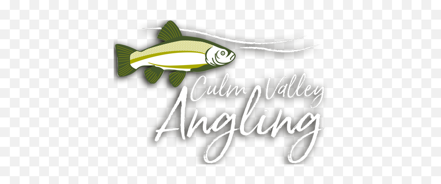 Culm Valley Angling - Cypriniformes Png,Leeda Icon Tripod