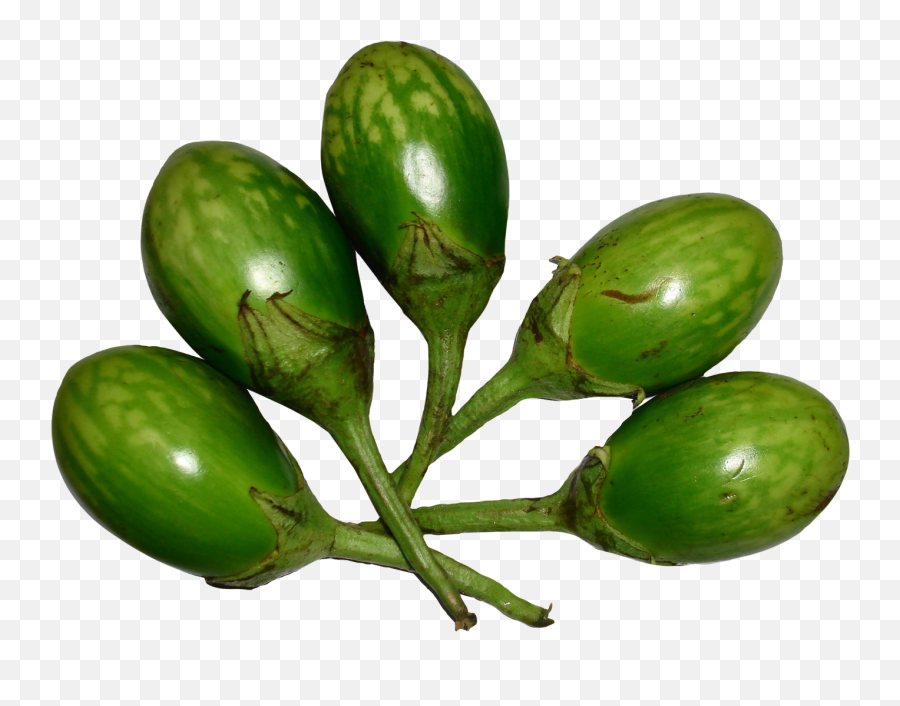 Brinjal Green Png Image - Green Brinjal Png,Eggplant Transparent