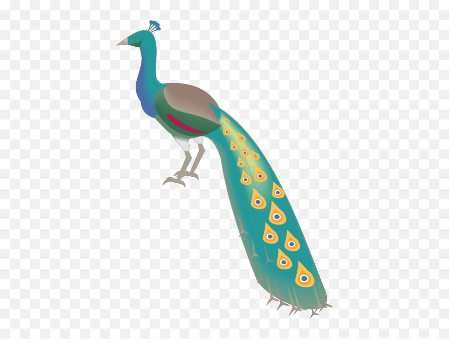 Cartoon Animalbirdpeacock Vector U2013 Free Psdvectoricons - Burung Merak No Background Png,Narwhal Icon