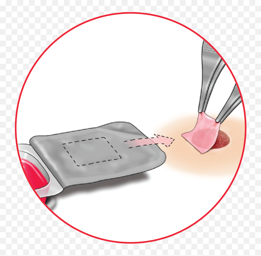 Product Details U0026 Resources Organogenesis Affinity - Blood Png,Affinity Icon