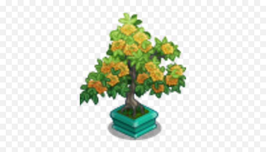 Chrysanthemum Bonsai Tree Farmville Wiki Fandom - Swamp Maple Png,Bonsai Tree Png