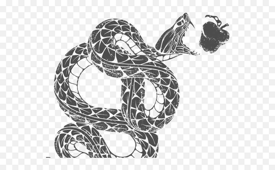 Download Serpentu0027s - Serpents Bite Snake Full Size Png Serpents Bite Whiskey Snake,Black Snake Png