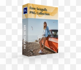 Free Seagull Png - Flyer,Seagull Png
