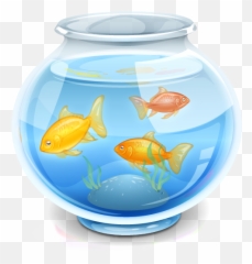 Appshelf Macos Icon Gallery - Cool Icons For Mac Png,Goldfish Icon
