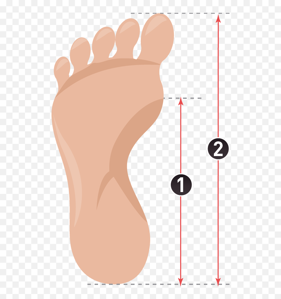 Pain Clipart Big Toe Transparent Free For - Measure Insole Of Foot Png,Toe Png