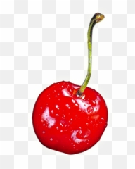 Cherry Png Transparent Images - Background