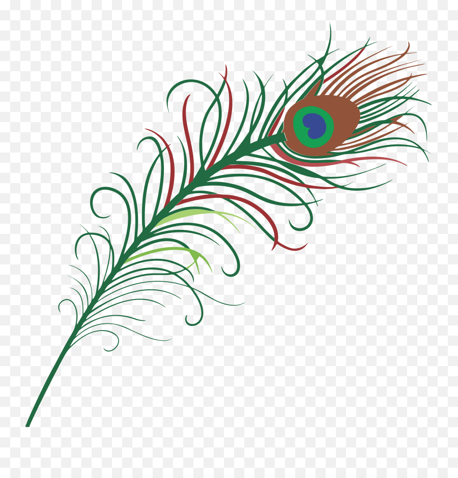 Transparent Background Peacock Feather Png