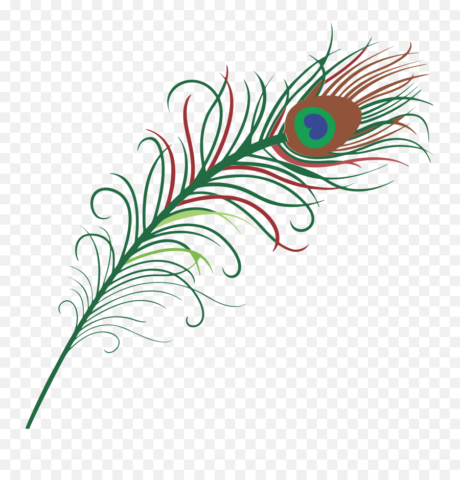 transparent background peacock feather png free transparent png images pngaaa com transparent background peacock feather