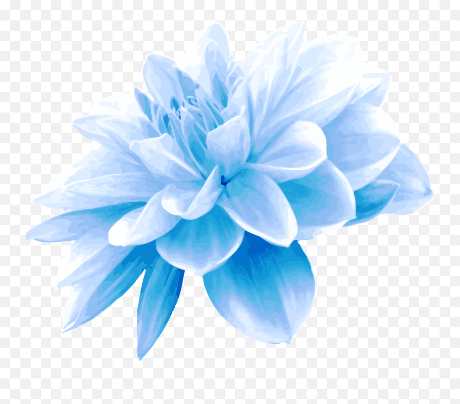 Blue Flower PNG Images  Free Photos, PNG Stickers, Wallpapers
