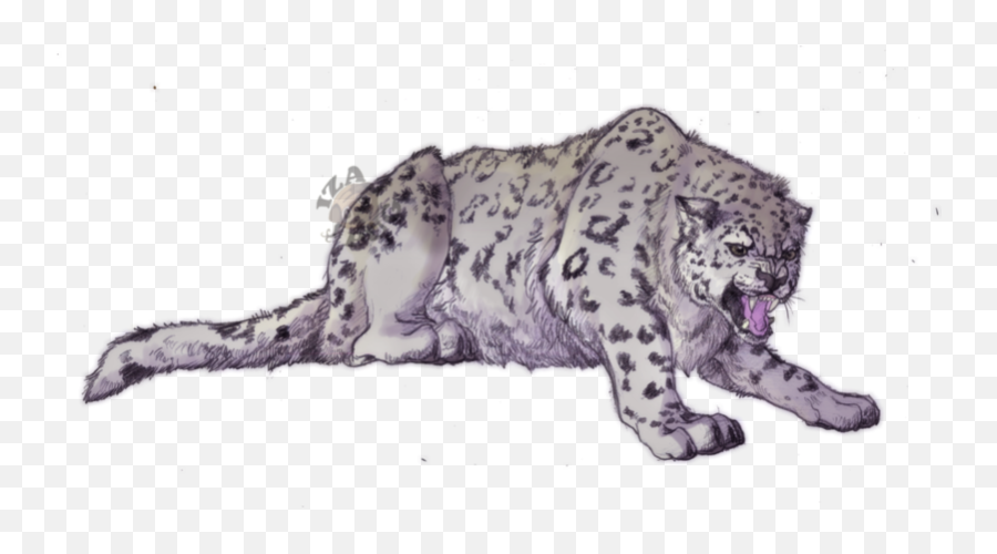 Png Angry Snow Leopard - Snow Leopard Drawing,Snow Leopard Png