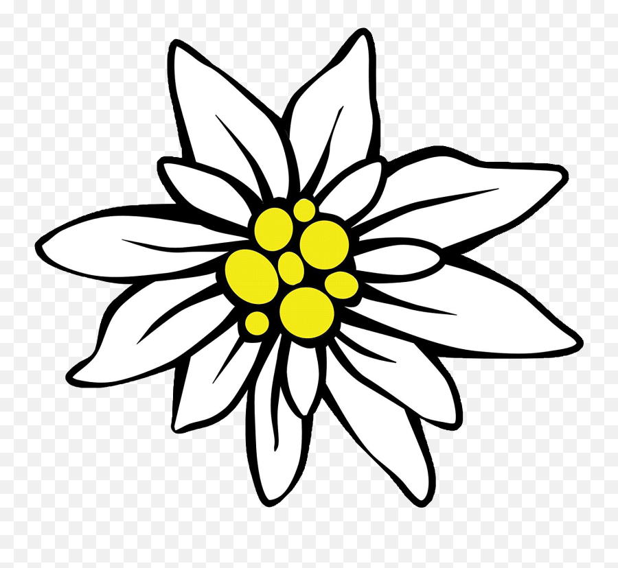 Page Divider Clipart - Png Download Full Size Clipart Clipart Simple Edelweiss Flower Drawing,Page Divider Png