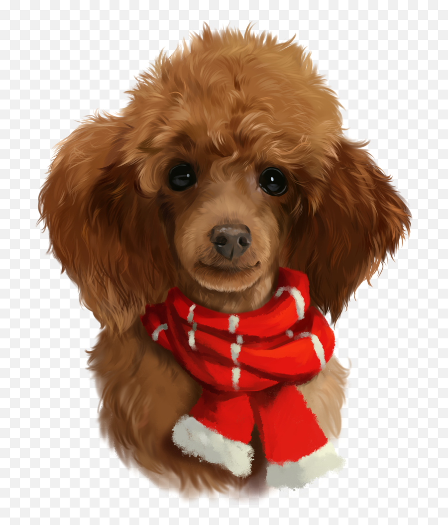 Download Shop Red Poodle Poster Created By Kajennaart - Toy Poodle Puppies Png,Poodle Png