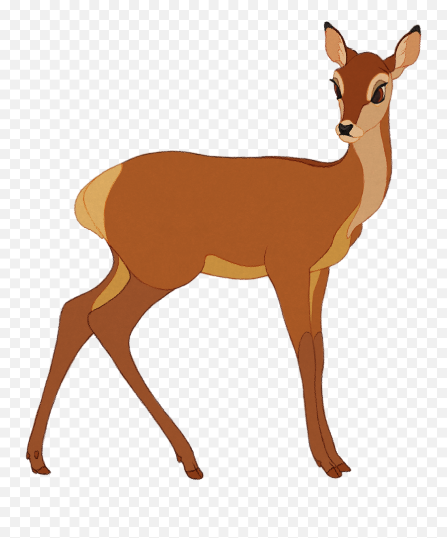 White - White Tailed Deer Clipart Png,Baby Deer Png