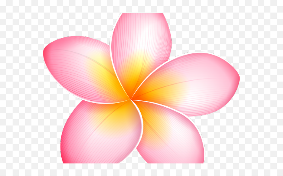 Yellow - Clipart Of Pink Pumeria Flowers Png,Tropical Flower Png