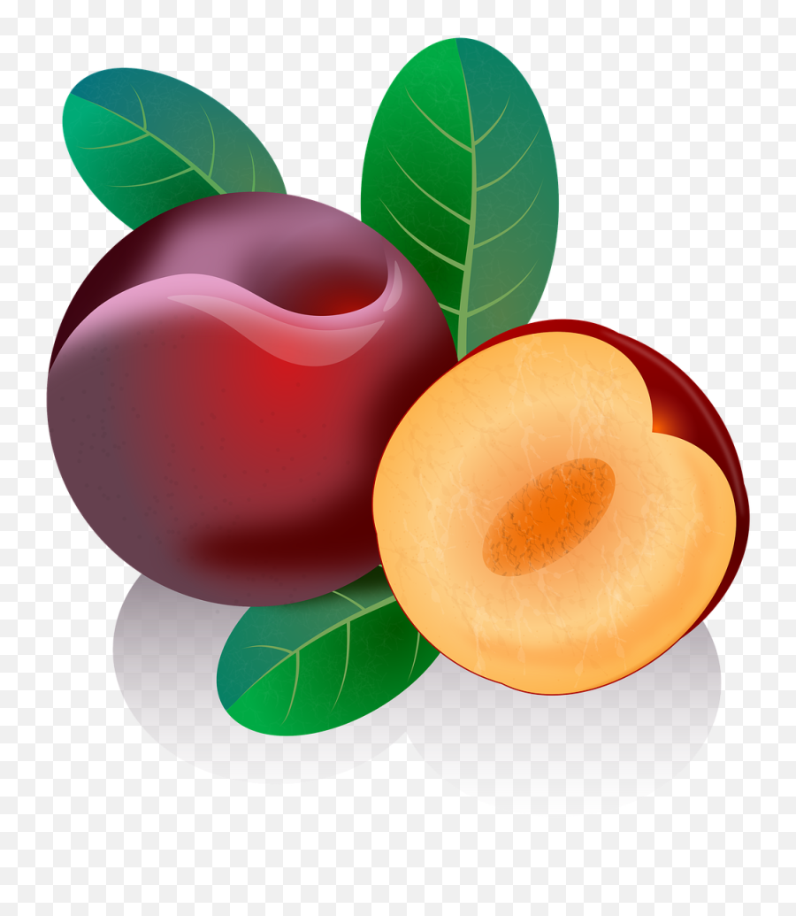 Plum Fruits Red - Free Image On Pixabay Drawing Programs Free Png,Plum Png