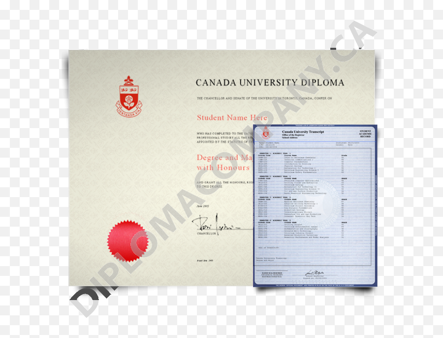 Diploma Png - Fake Canada College Diploma A Envelope Horizontal,Diploma Png