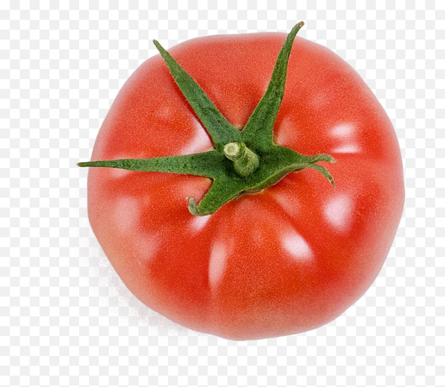 Fujimaru Tomatoes Coming Soon U2013 Pure Harvest - Superfood Png,Tomatoes Png